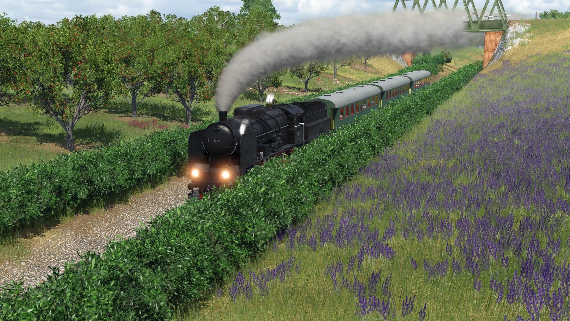 Transport fever 2 steam api init failed фото 106